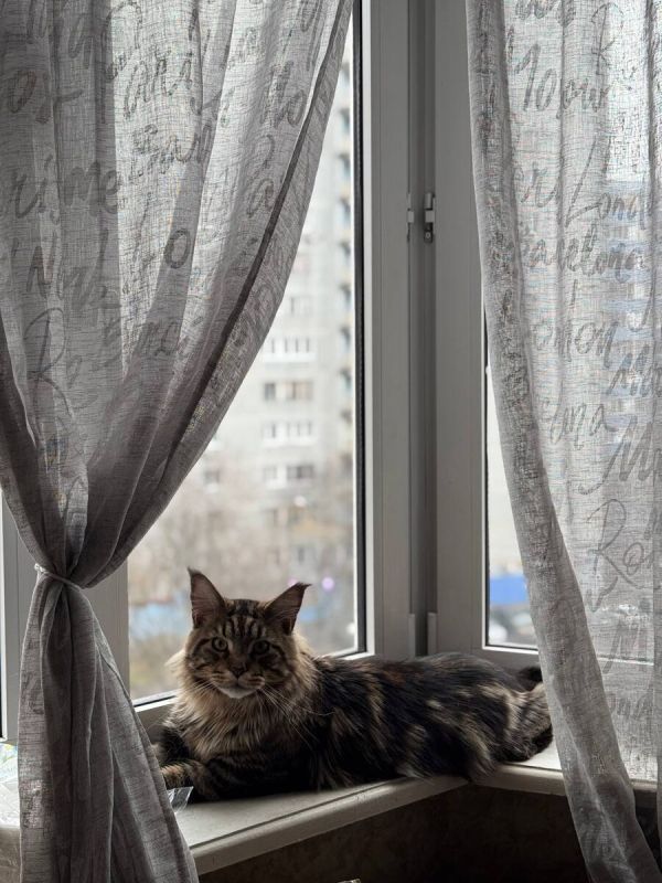 ������� ��������: ������� ��������� ������ �� ˸�� � �������