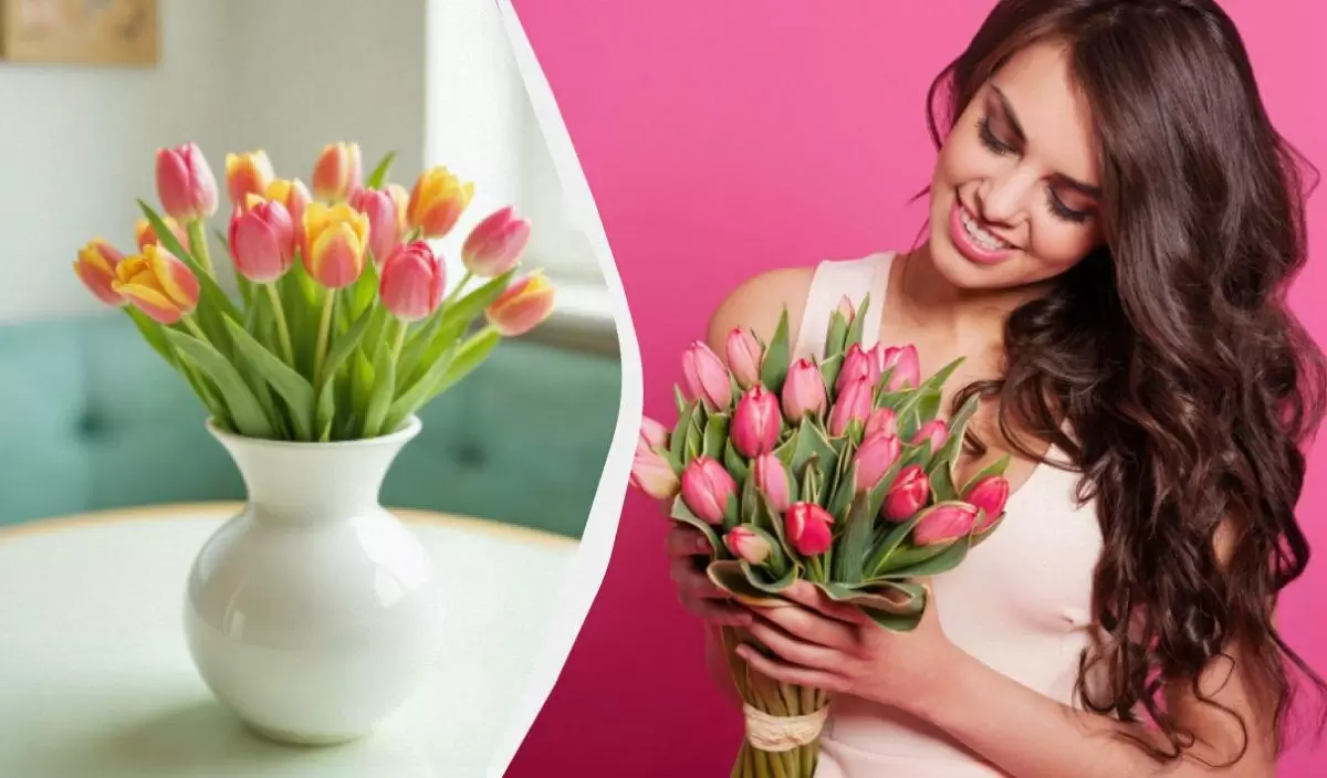 Как продлить жизнь тюльпанов: секреты ухода для яркого букета