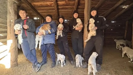 В период весенних каникул юнармейцы отрядов 7 «Б», 7 «А» и 6 «А» классов средней школы № 3 Ак-Довурака оказали шефскую помощь на чабанской стоянке, сообщили в Управлении образования администрации города