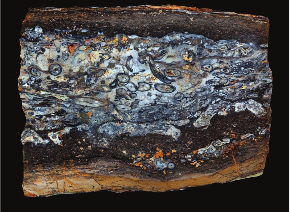 ��������� ����: ����������, ������������� �� �������