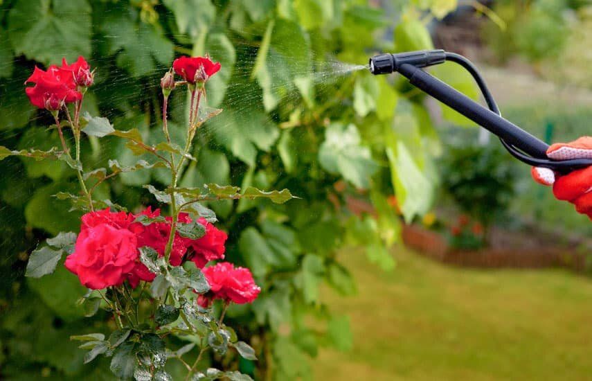 ��� ��������� ����������� ���� � ����: ������ � ������������