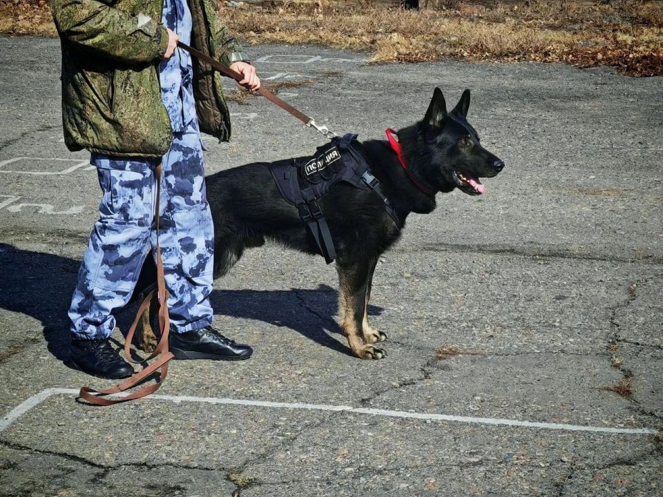 ��������� ���� ������������� � ������� ��������� � ��������� ����� ���