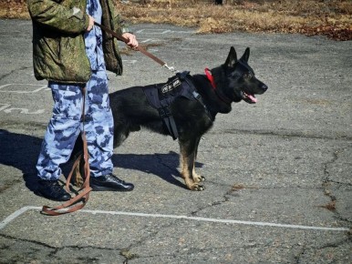 ��������� ���� ������������� � ������� ��������� � ��������� ����� ���