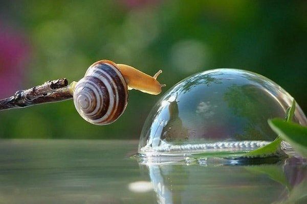 ��� �������� �������� �����: ������� ������