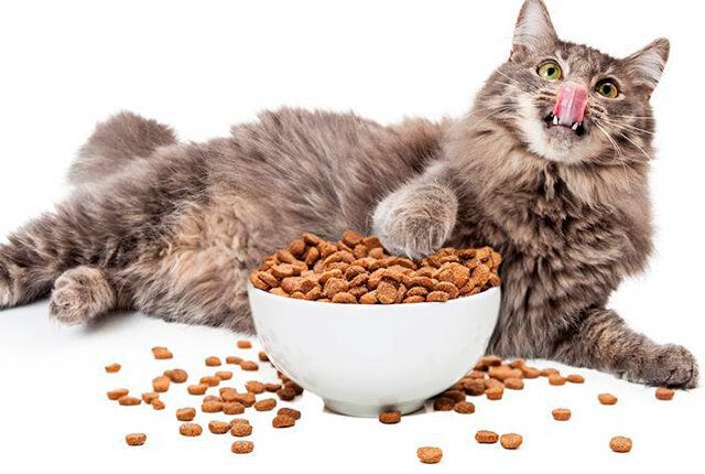 ��� ������� ��������� ����� ���� ��� ����� �����