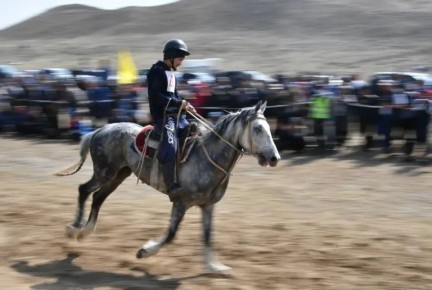 XXXIII �������� ����� �������� � ����� ������ � ����-���������� ������