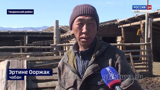 ����� �������. � ���������� ���������� ���������� ���� � ��� ���������� ��������