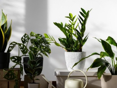 ��� ������� �������� ���� ����� ����� ��������� ��������� � ������� ������ � ������