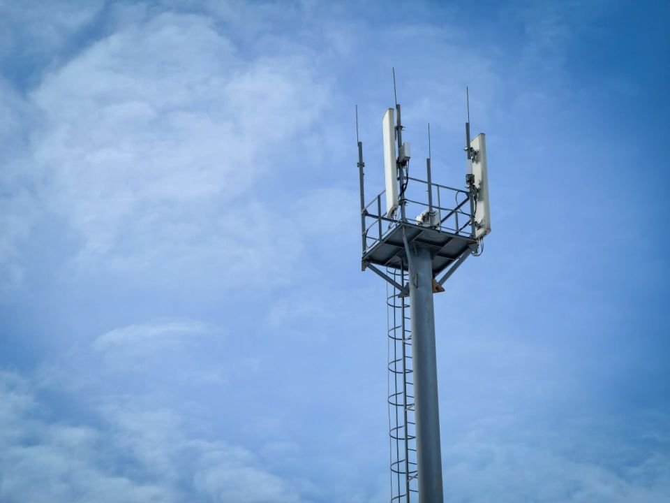 ��� �� �������� ��������� �������� ���������� ��������� � ������