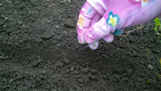 ��������� �����: ������������ ����������� � ������������ ��������