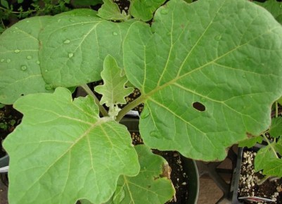 ��������� � ������ ����: ��� �������� ������ �� �������� � ����������?