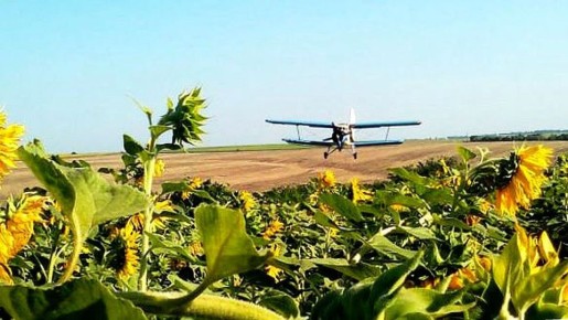 ��������: ���������� � ���������, ������� ������� ���������