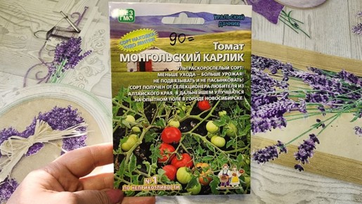 ����� ��� �������: �������� ��� ���� ����-����, ������� ������ ��� �� ����