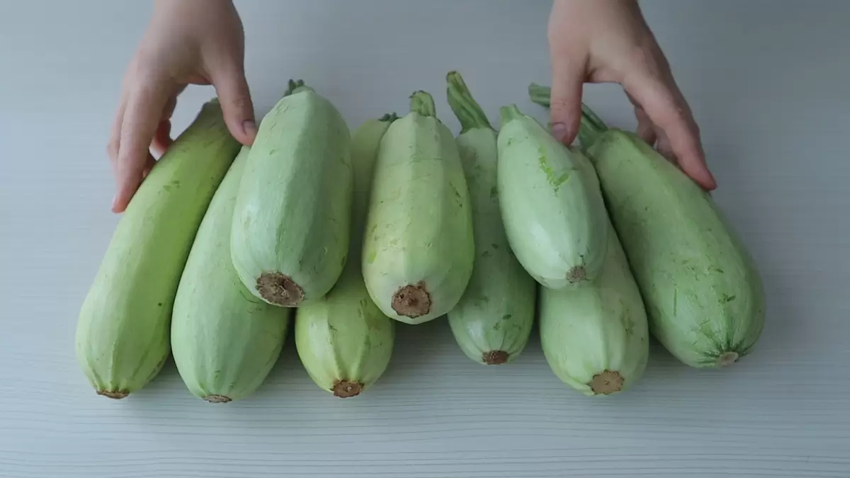 Как эффективно использовать избыток кабачков: кулинарные идеи на любой вкус