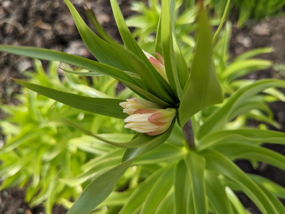 ��� �������� ����� ������� �����: ����������, ����� �������� ��������� ��������