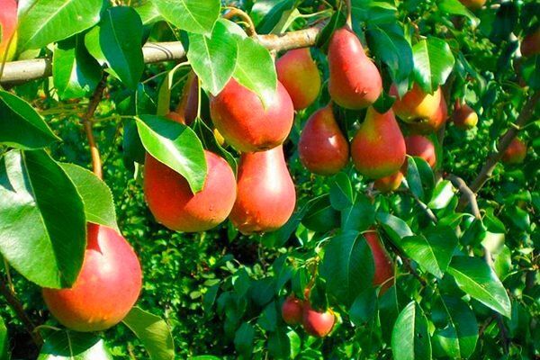 ���� � ���������� ����� � ������������� ���������� � ������� ������