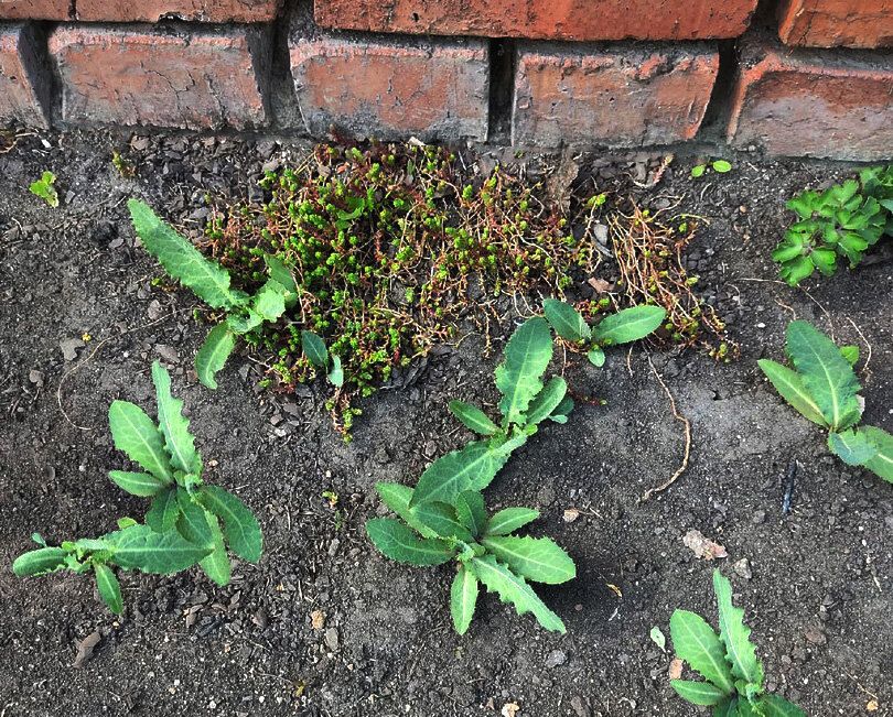 ������ ���������: ��� ���������� �������� � ��������� �� ������ �������