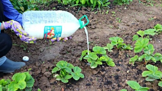 ��� ��������� ������������� �������� ����� ���� ��� �������� ������?