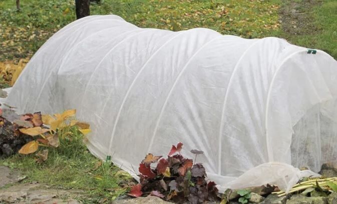 ��� ��������� ���� �����: ������� ��������-������ �������