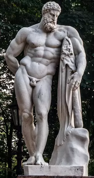 Где искать верные ответы о питании: взгляд на спортивную нутрициологию и диетологию