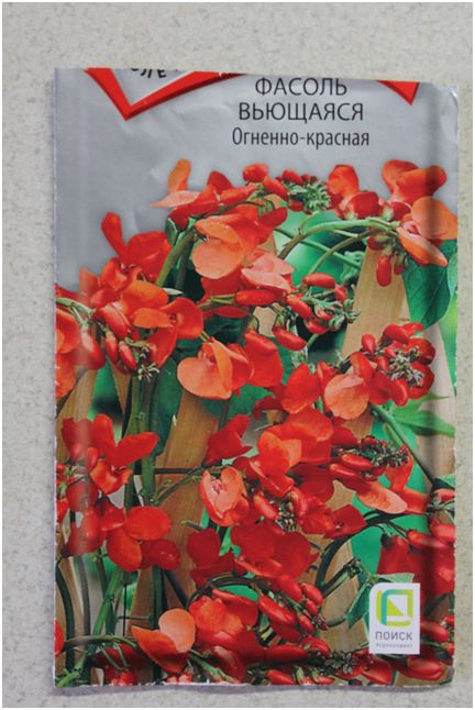 ������������ ������: ������� � ������ ������