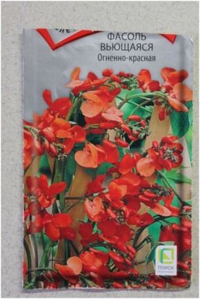 ������������ ������: ������� � ������ ������