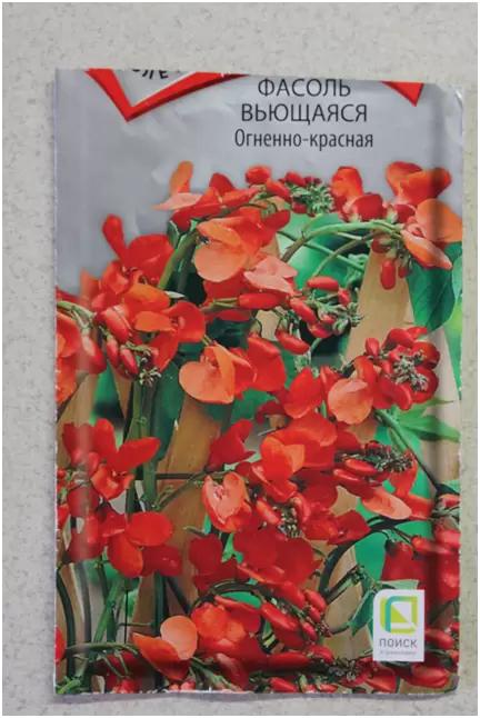 Декоративная фасоль: природа в каждом стебле