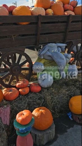 ��� ������������ ��� ����� �������� ��������� � ����� �������