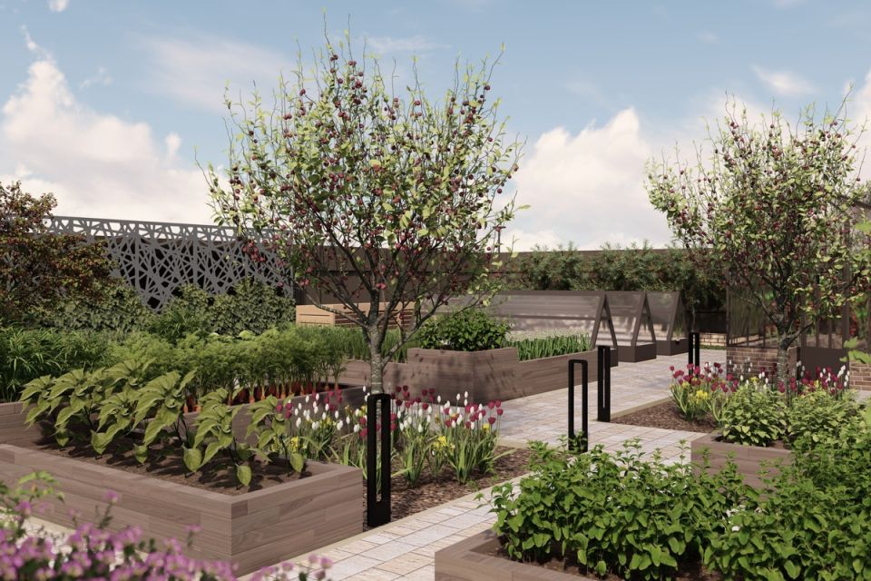 ������ ������: ��� ������� �������� ������ � ���������� �������