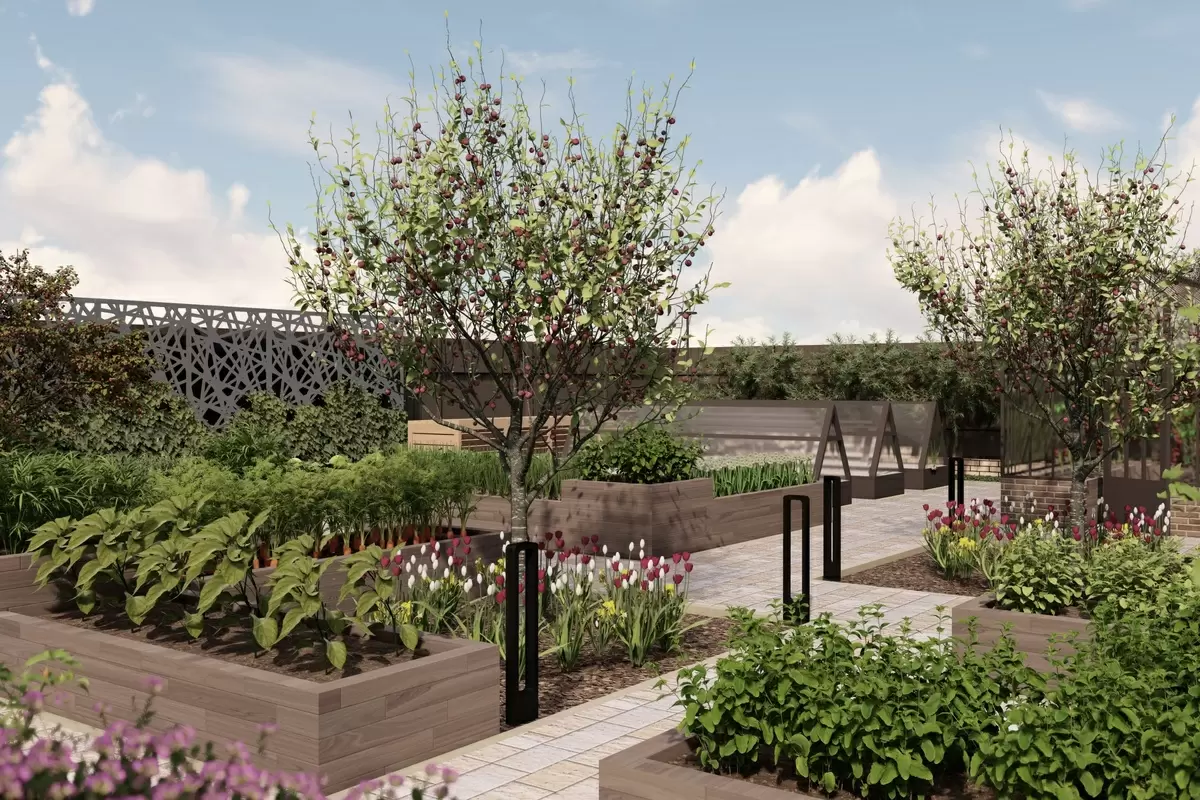 Уютный огород: как создать стильные грядки и практичные дорожки