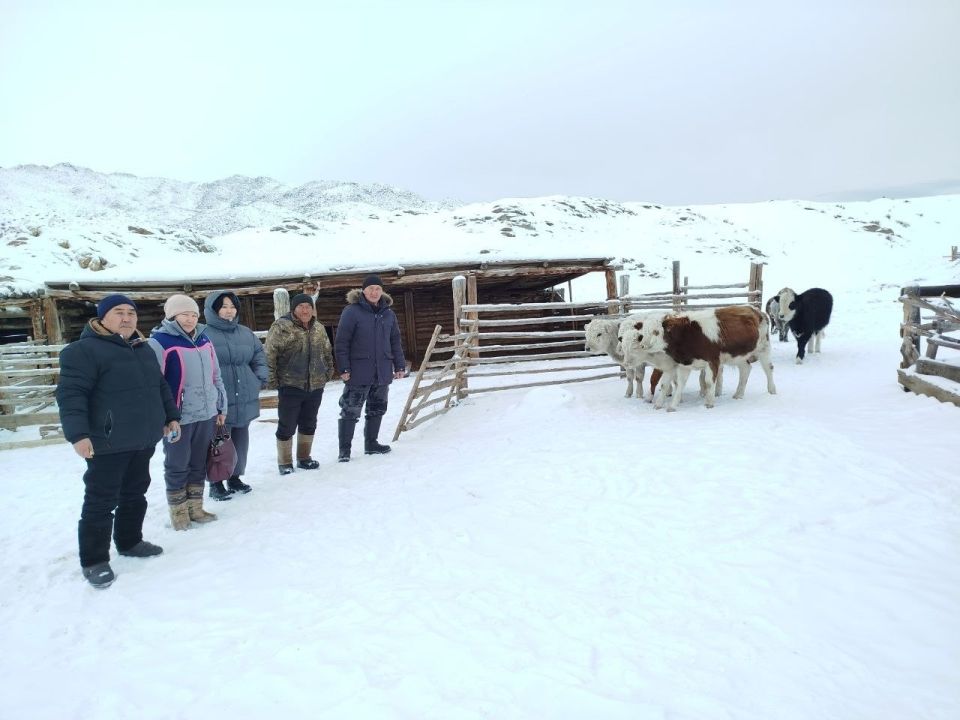 � ��������� ������ ������� ����� ������� �����: ��������� ���������, ���� �������� ����