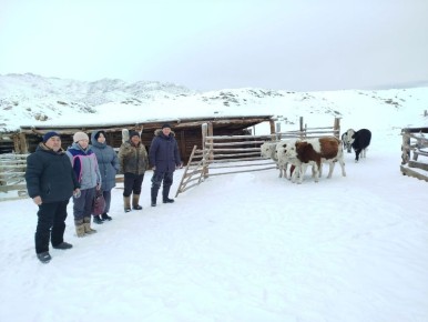 � ��������� ������ ������� ����� ������� �����: ��������� ���������, ���� �������� ����