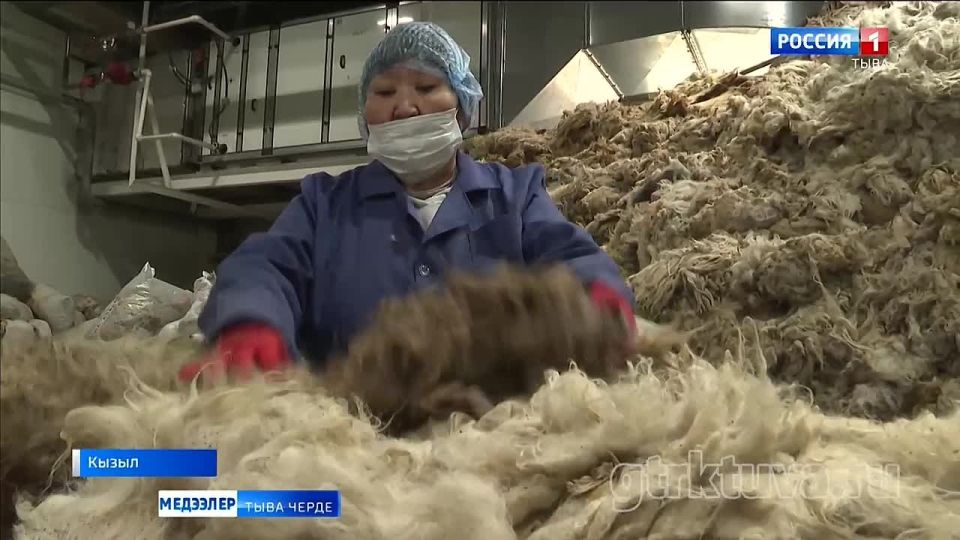 ������ ������������ �����������