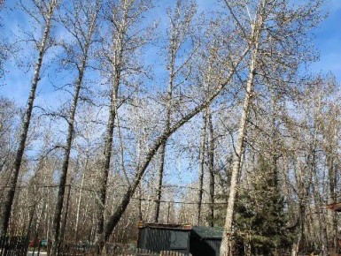 ����������� ������������� ����������� ��������� ������� � ����� ����� �������� � ������