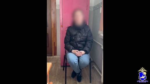 Полиция Тувы уличила «ясновидящую» упаковщицу мясокомбината из Мордовии в онлайн-мошенничестве