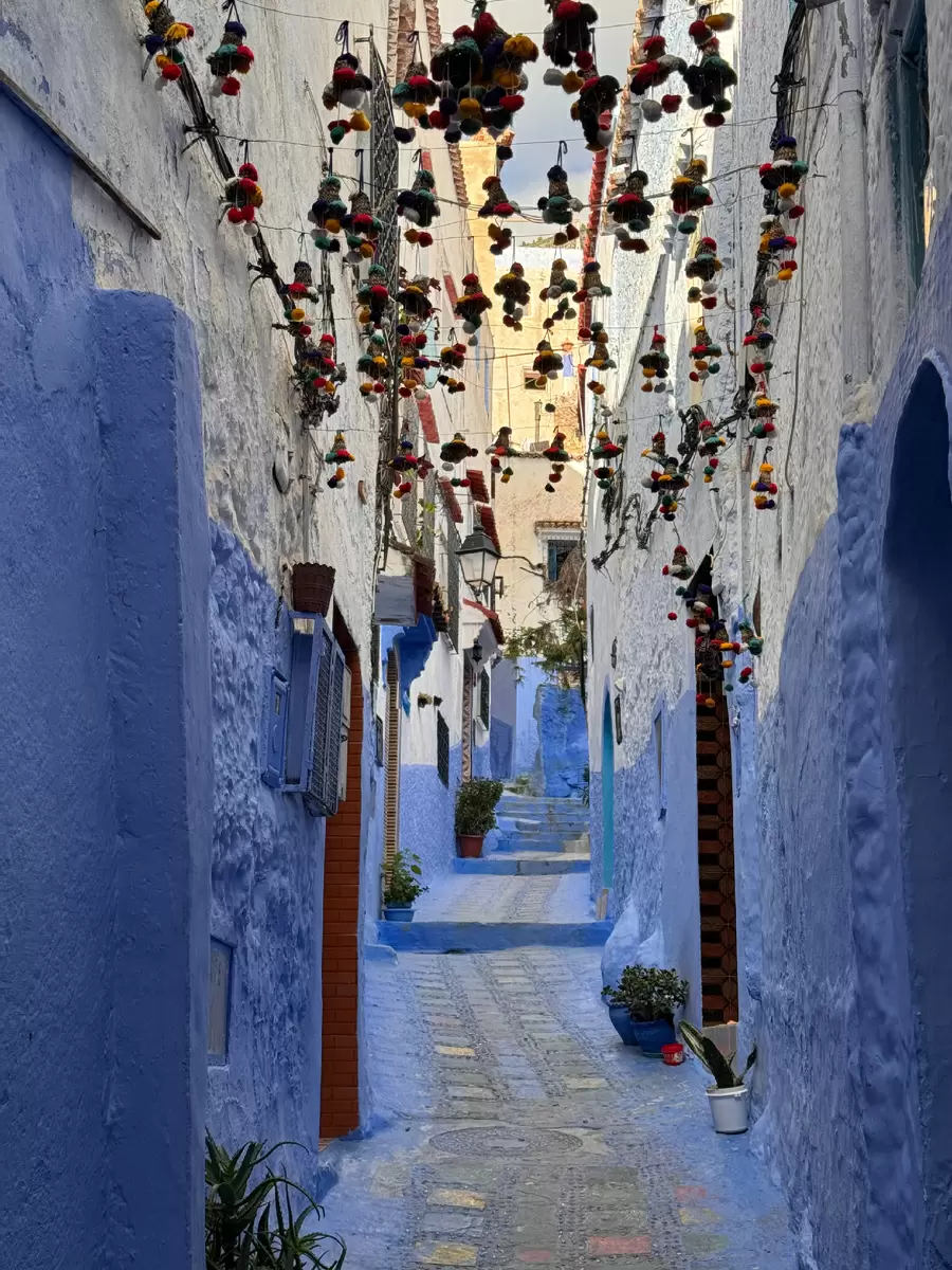 Приключение с тунцом: неожиданные вкусы Марокко