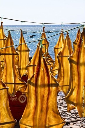 Солёная треска: как бакаляу завоевала Европу