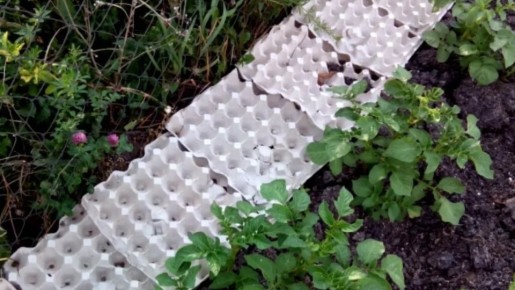 ����������� ������ ���������: ��� ������ ����� �������� �������� ������������ ����