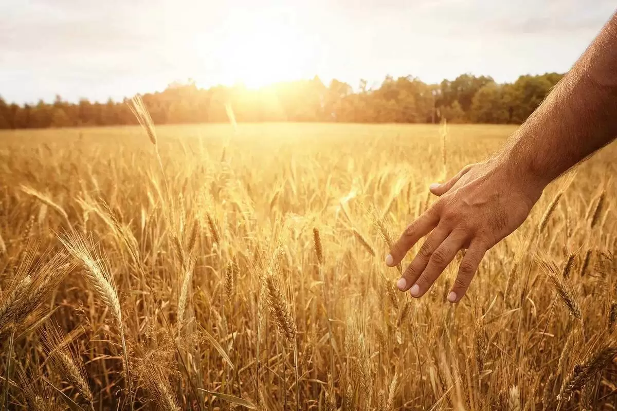 Как сосредоточенность может изменить вашу жизнь: путь к минимализму