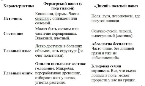 ��� ���������� ������� ����� � ������: ������������ �����������