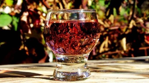 Настойка из сливы: секреты приготовления удивительного напитка