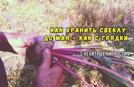 ��� ��������� ������ ������ �� ���: ��� ������� �������� ��� ���������� ��������