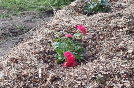 ��� ���������� ���� ������: ������ ��� �������� ����� �� ����������