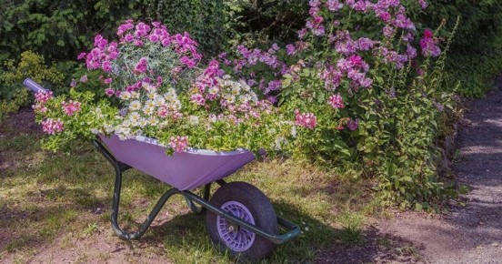 ��� �������� ������� ��������: ������� ���������� ��������� ������