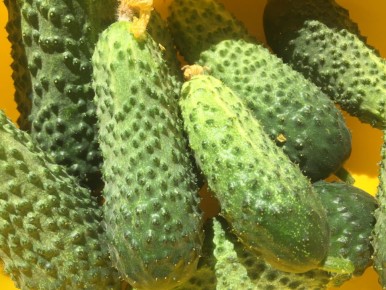 ����������� ��������� ��������� ��� �������: ������� �������� �����