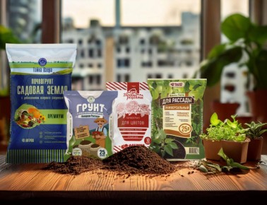 ��� ����� � ���� � ������ ��� �������: ����������� � ���� ��������