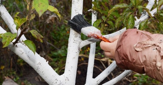 ������� �������� ������: ����� �� �������� ��� �� ������ ����������?