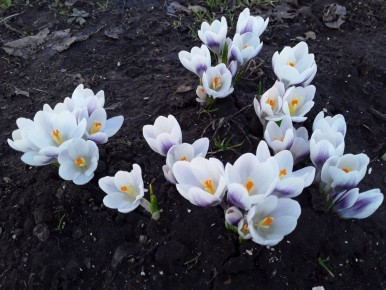 �������� ����������� � ����: ��� ����� ��������� ��������