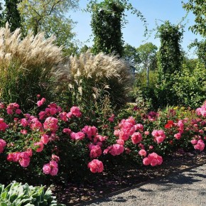 ������� �����: ���� �������� �������� � ������ ��������