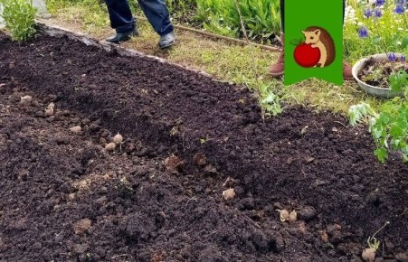 ����� ������ ���������: ������������� ��� � 2026 ����